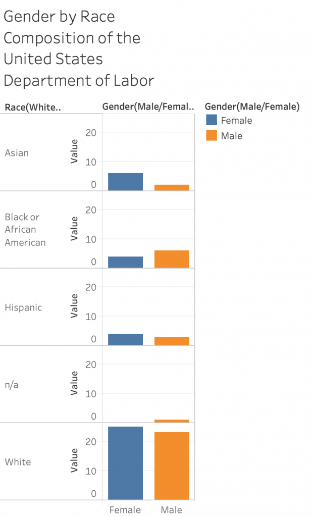 U.S. department of labor gender by race statistics
