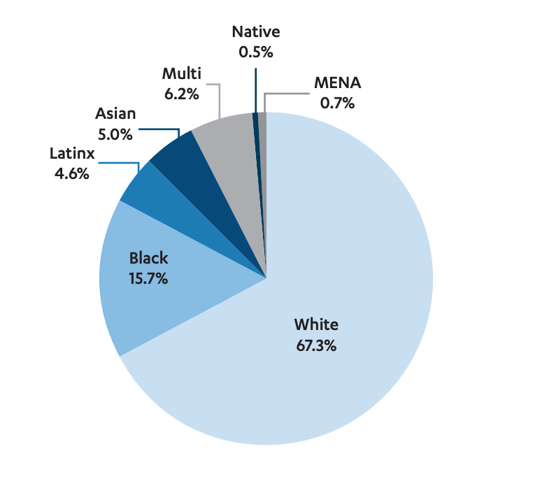 'in the heights' diversity chart